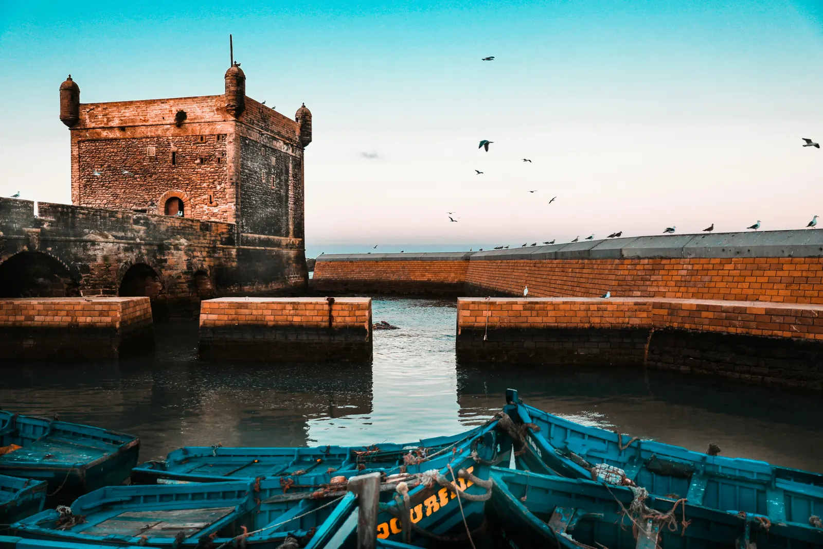 Port de pêche d'Essaouira : barques bleues et bastion de la Skala au petit matin