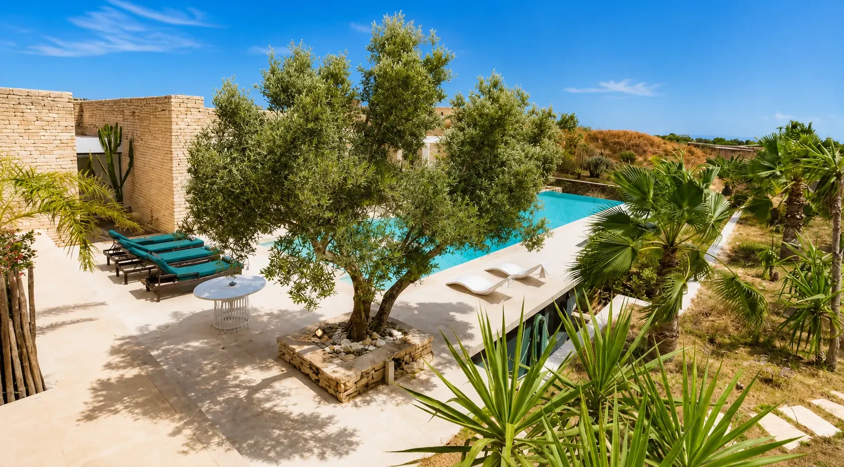 Olivier centenaire, terrasse et piscine de la Villa Nausikaa vus depuis le jardin