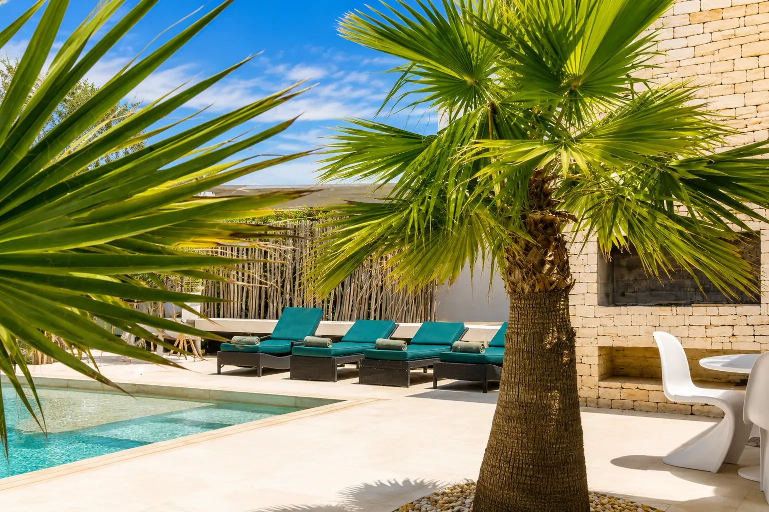 Palmier, transats et mur en pierre sèche au bord de la piscine de la Villa Nausikaa